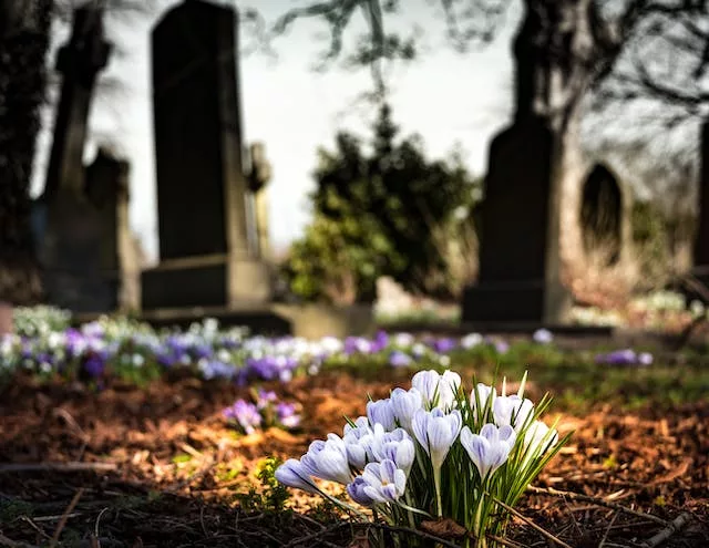 cimetiere-ecologie