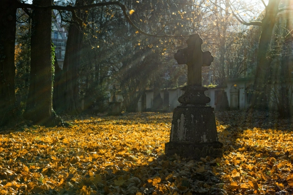 Comprendre le Prix d’une Concession de Crématorium cimetière concession